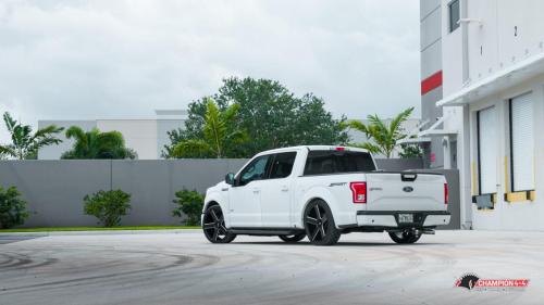javiers-lowered-f-150_48094461451_o