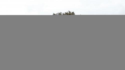 jessies-jeep-gladiator_48522966186_o