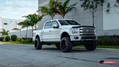 mannys-f-150_49493540272_o