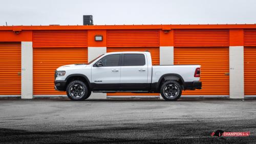 ram-rebel_49243188983_o