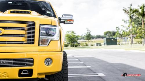 tonka_47961224516_o